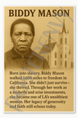Biddy Mason slave midwife LA Los Angeles Wealthiest Women African American Poster - 18 inch x 12 inch