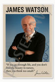 James Watson American molecular biologist geneticist zoologist DNA Nobel Prize scientist science Poster - 18 inch x 12 inch
