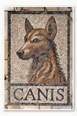 Latin Dog Mosaic Poster - 18 inch x 12 inch