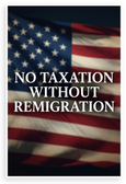 No Taxation Without Remigration American Flag Patriotic 12x18 US Made Poster