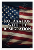 "No Taxation Without Remigration" American Flag Patriotic 12x18 US Made Poster