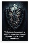 Elon Musk "Wokeness Gives People a Shield to Be Mean and Cruel" Inspirational 12x18 US Made Poster