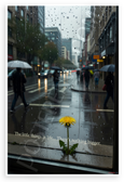 "The Little Things in Life... There's Nothing Bigger" Dandelion Rain Window Inspirational 12x18 US Made Poster