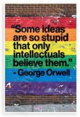 George Orwell "Some Ideas Are So Stupid" Satirical Graffiti 12x18 US Made Poster