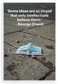 George Orwell 'Some Ideas Are So Stupid Only Intellectuals Believe Them' Satirical 12x18 US Made Poster