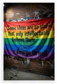 George Orwell "Some Ideas Are So Stupid Only Intellectuals Believe Them" Graffiti 12x18 US Made Poster