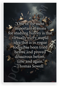 Thomas Sowell 'Every Stupid Idea Has Been Tried Before' History Quote 12x18 US Made Poster