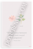 Wayne Dyer "Difference Between a Flower and a Weed is Judgment" Inspirational 12x18 US Made Poster
