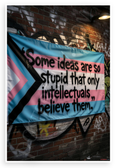 George Orwell "Some Ideas Are So Stupid Only Intellectuals Believe Them" Satirical 12x18 US Made Poster