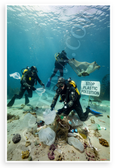 Divers Cleaning Plastic Pollution Ocean Floor Stop Plastic Pollution Environmental 12x18 US Made Poster