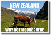 New Zealand - Why Not Moove Here - NEW World Travel Poster