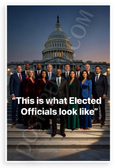 "This is what Elected Officials look like" Diverse Group Capitol Inspirational 12x18 US Made Poster