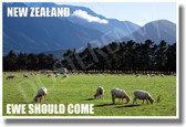 New Zealand - Ewe Should Come - NEW World Travel Poster
