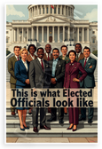 This is What Elected Officials Look Like Diverse Group Capitol 12x18 US Made Poster
