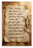 Jeremiah 29:11 'For I Know the Plans I Have for You' Inspirational 12x18 US Made Poster