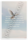 Jeremiah 29:11 'For I Know the Plans I Have for You' Dove Inspirational 12x18 US Made Poster