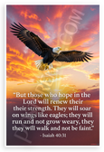 Isaiah 40:31 "Those Who Hope in the Lord" Eagle Sunset Inspirational 12x18 US Made Poster