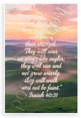 Isaiah 40:31 'Those Who Hope in the Lord' Inspirational 12x18 US Made Poster