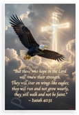 Isaiah 40:31 'Those Who Hope in the Lord' Eagle Cross Inspirational 12x18 US Made Poster
