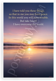 John 16:33 'I Have Overcome the World' Inspirational 12x18 US Made Poster