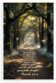 Proverbs 3:5-6 "Trust in the Lord" Inspirational 12x18 US Made Poster