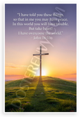 John 16:33 'I Have Overcome the World' Inspirational Christian 12x18 US Made Poster