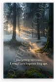 If Forgetting Were Easy I Would Have Forgotten Long Ago Misty Forest Inspirational 12x18 US Made Poster