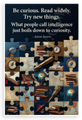 Aaron Swartz "Be Curious Read Widely Try New Things" Inspirational 12x18 US Made Poster