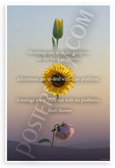 Mark Manson 'Mornings Hard Problems Afternoons Easy Evenings Chill' Inspirational 12x18 US Made Poster
