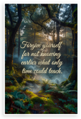 "Forgive Yourself for Not Knowing What Time Could Teach" Forest Inspirational 12x18 US Made Poster