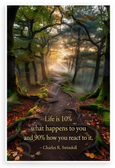 Charles R. Swindoll "Life is 10% What Happens 90% How You React" Forest Path Inspirational 12x18 US Made Poster