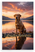Labrador Retriever Sunset Lake Mountains Nature Wildlife 12x18 US Made Poster