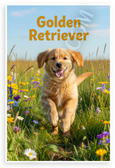 Golden Retriever Puppy Playing in Sunny Wildflower Meadow 12x18 US Made Poster