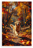 Golden Retriever Running Autumn Woods Fall Foliage 12x18 US Made Poster