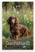 Elegant Dachshund in Wildflowers Field Nature 12x18 US Made Poster