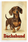 Dachshund Vintage Illustration 12x18 US Made Poster
