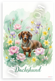 Dachshund in Blooming Flowers Watercolor Art 12x18 US Made Poster