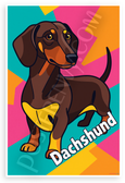 Dachshund Abstract Modern Art 12x18 US Made Poster