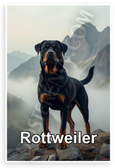 Majestic Rottweiler Misty Mountains Wildlife 12x18 US Made Poster