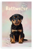 Adorable Rottweiler Puppy Cute Dog Breed 12x18 US Made Poster