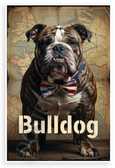 Bulldog with Vintage Map Background Patriotic 12x18 US Made Poster