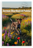 German Shorthaired Pointer Running Through Wildflowers Field Dog 12x18 US Made Poster