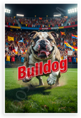 Dynamic Bulldog Stadium Sports Mascot 12x18 US Made Poster