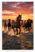 Wild Horses Galloping at Sunset Open Plain Nature Wildlife 12x18 US Made Poster