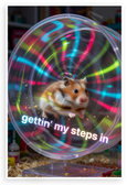 Hamster Gettin' My Steps In Motivational 12x18 US Made Poster