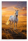 Powerful White Horse Golden Pasture Sunset Wildlife 12x18 US Made Poster