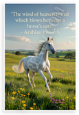 Arabian Proverb 'Wind of Heaven Blows Between Horse Ears' Inspirational 12x18 US Made Poster