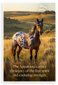 Chief Joseph 'Appaloosa Carries Legacy of Free Spirit' Inspirational 12x18 US Made Poster