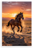Majestic Wild Stallion Galloping Open Plain Sunset Wildlife 12x18 US Made Poster