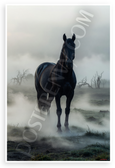Powerful Black Horse in Foggy Pasture Wildlife 12x18 US Made Poster